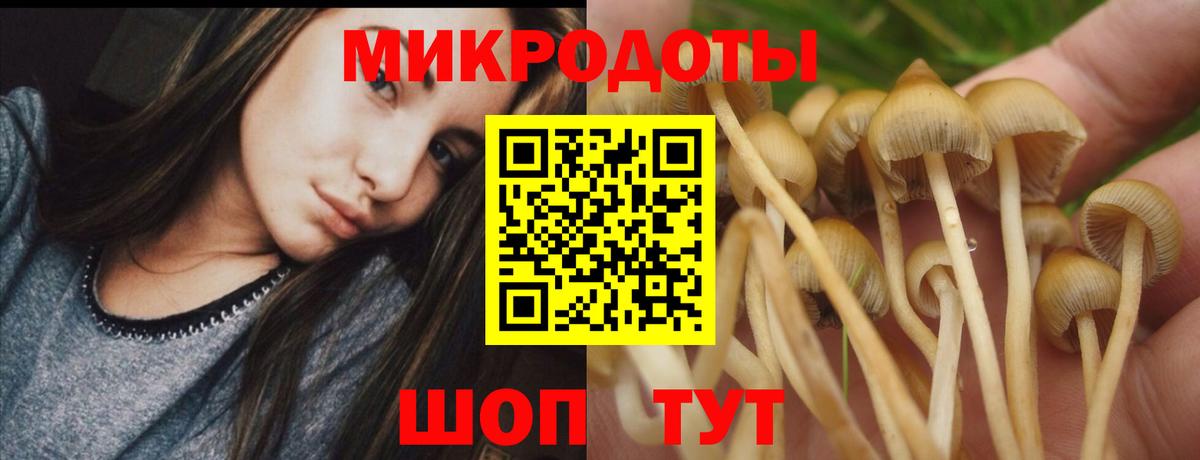 Галлюциногенные грибы мицелий  Вход с VPN  Омск 